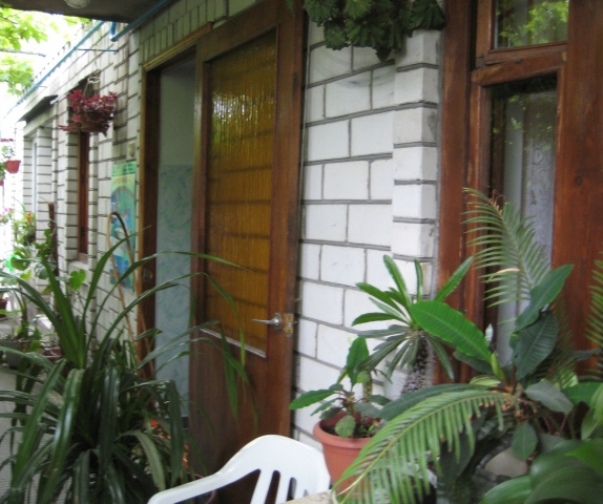 Фото квартиры 1