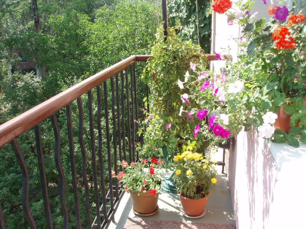 Фото квартиры 5