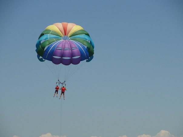 Фото квартиры 10