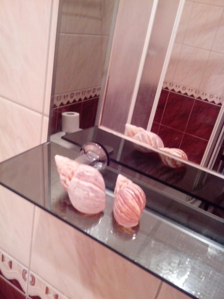 Фото квартиры 14