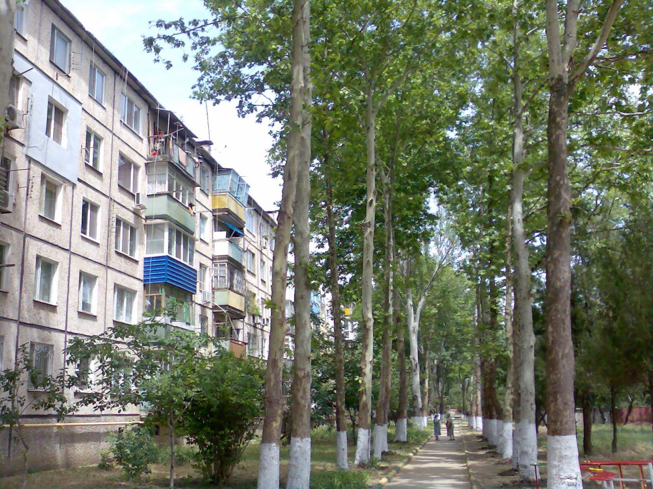 Фото квартиры 11