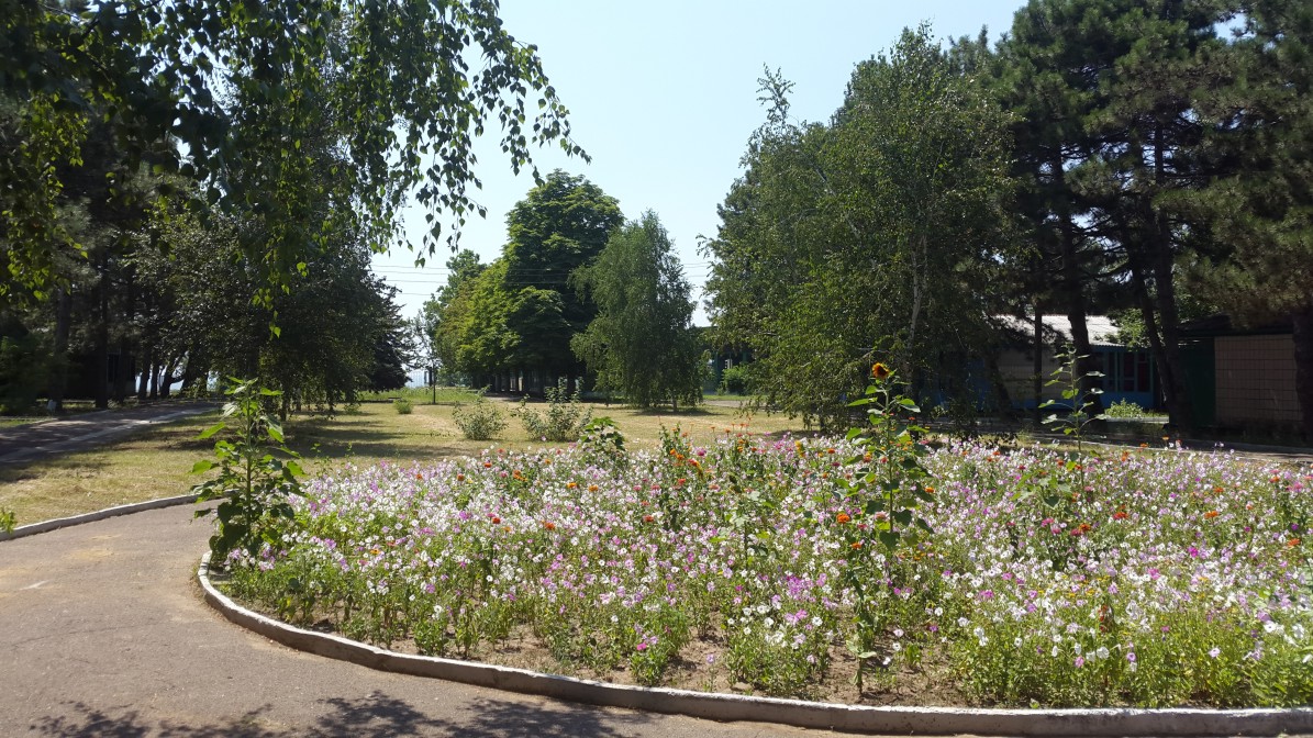 Фото квартиры 7