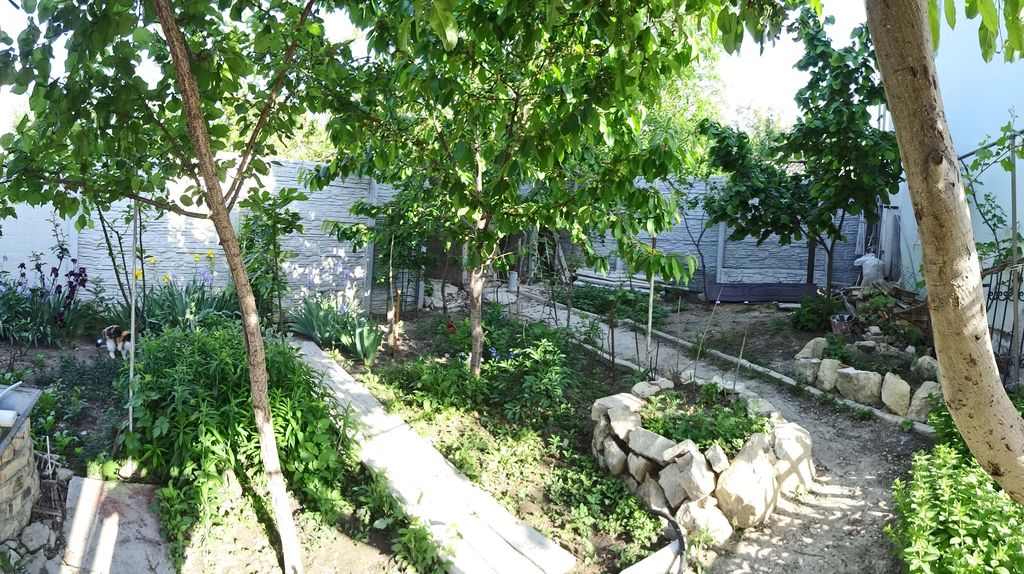 Фото квартиры 13