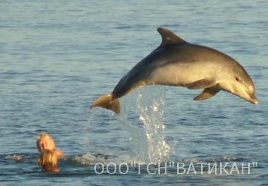 Фото квартиры 1