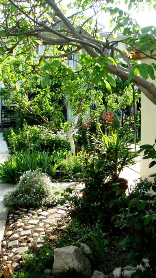 Фото квартиры 1