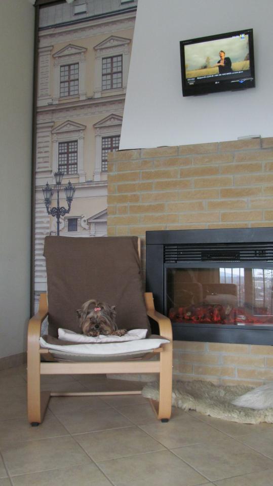 Фото квартиры 9