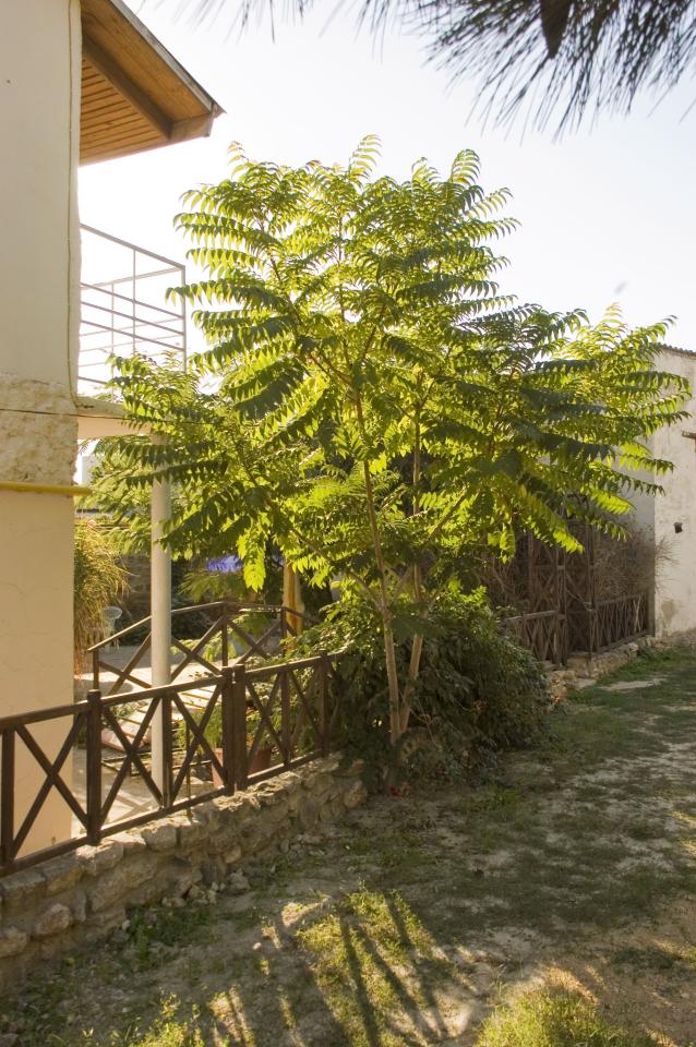 Фото квартиры 3