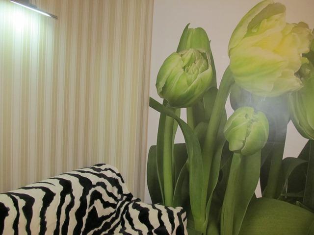 Фото квартиры 4