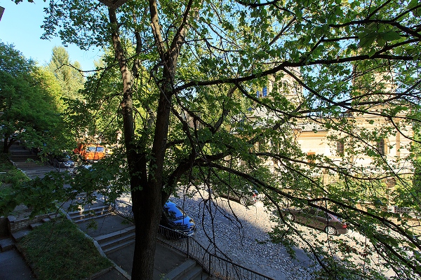 Фото квартиры 13