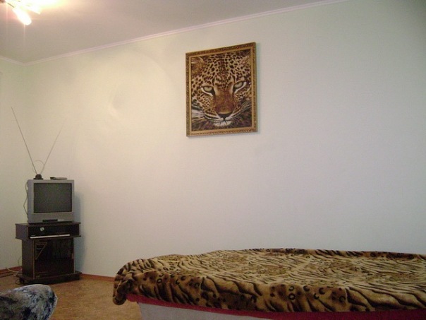 Фото квартиры 1