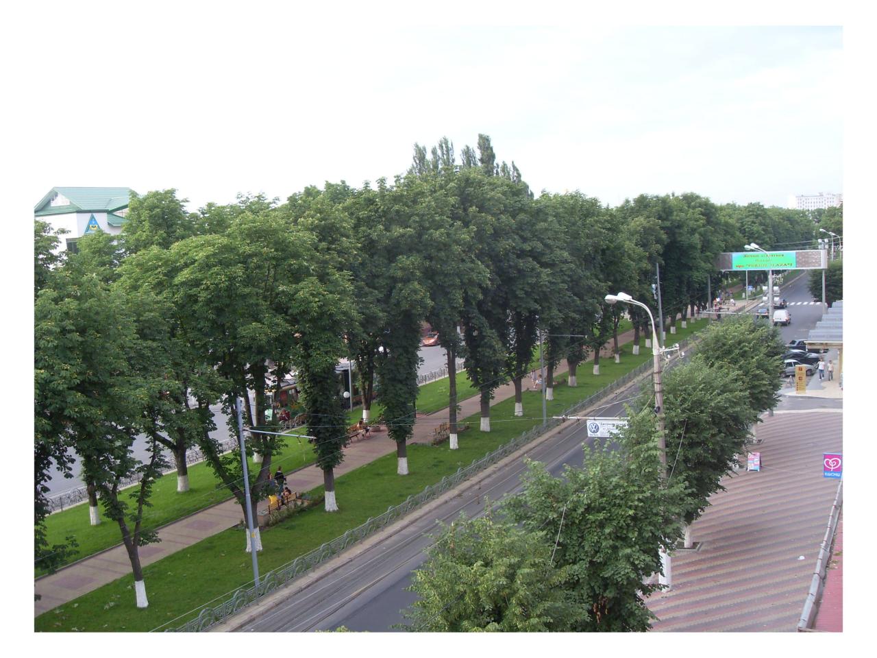 Фото квартиры 11