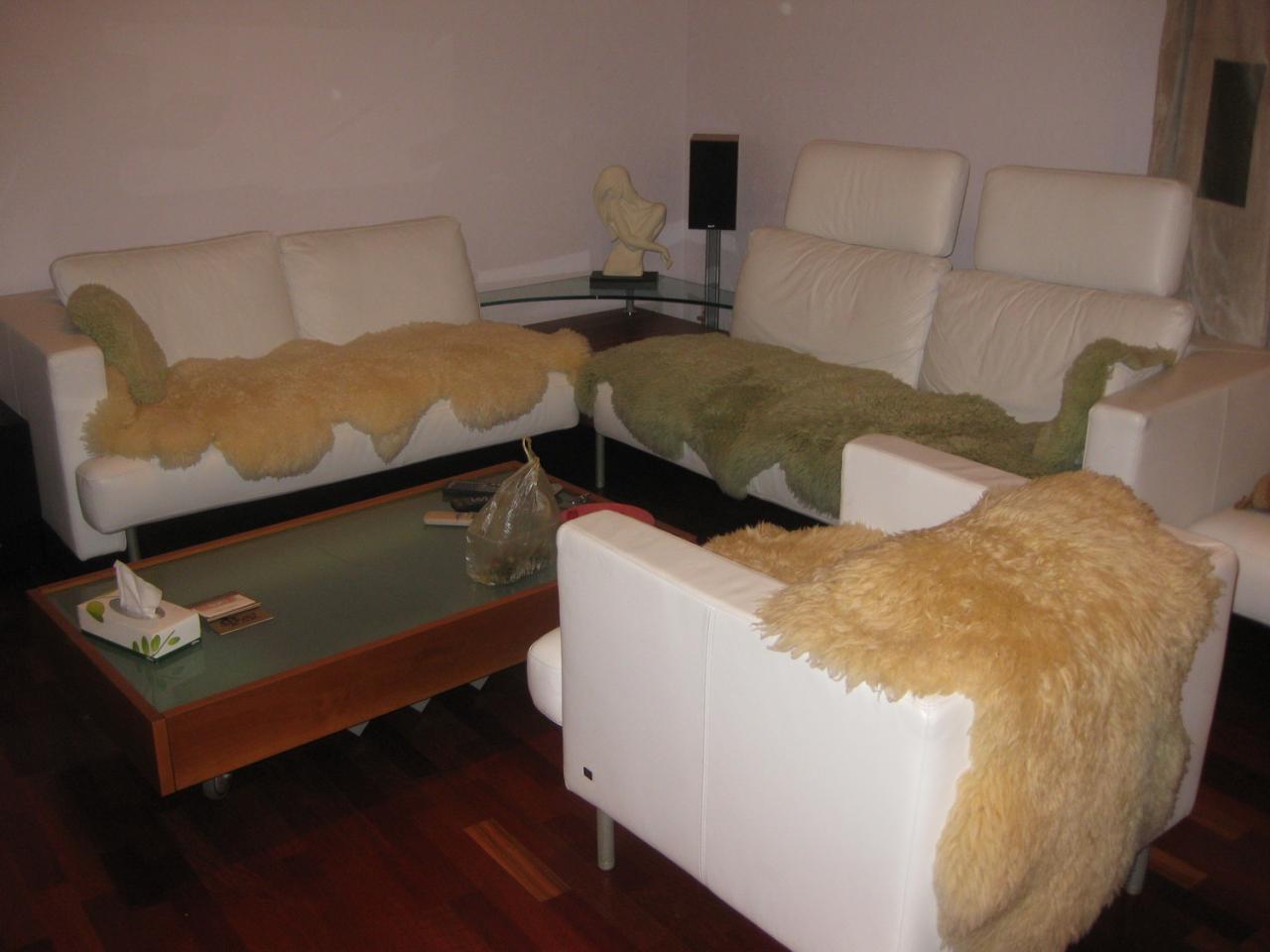 Фото квартиры 2