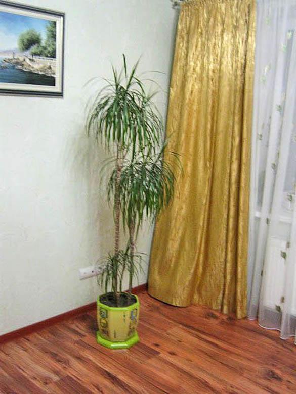 Фото квартиры 8