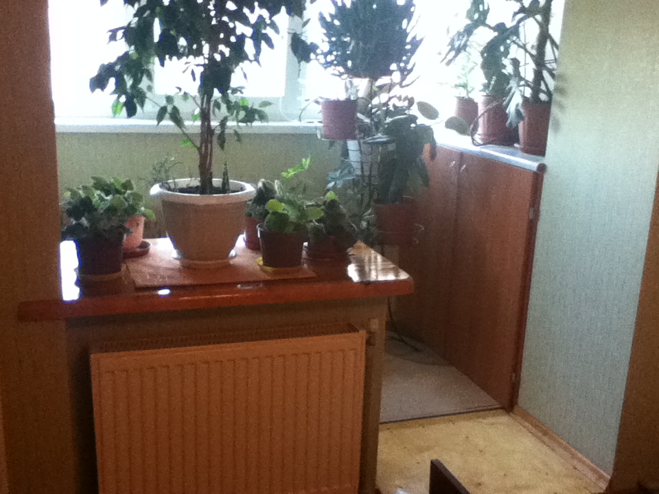 Фото квартиры 3