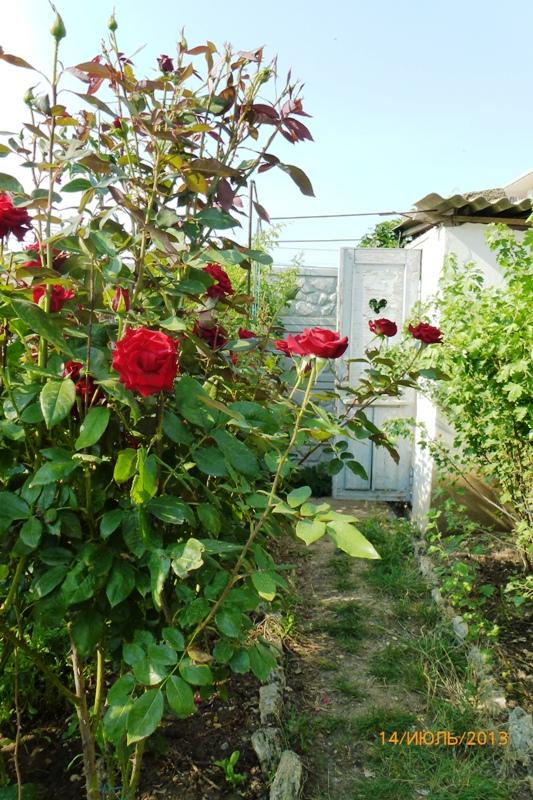 Фото квартиры 5