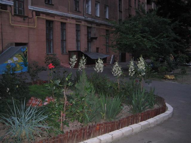 Фото квартиры 12