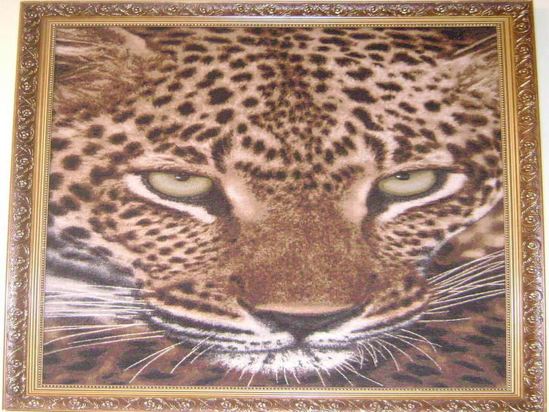 Фото квартиры 2