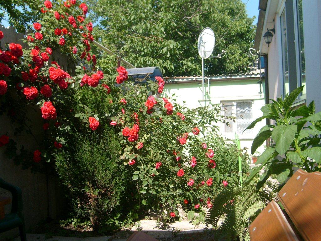 Фото квартиры 2