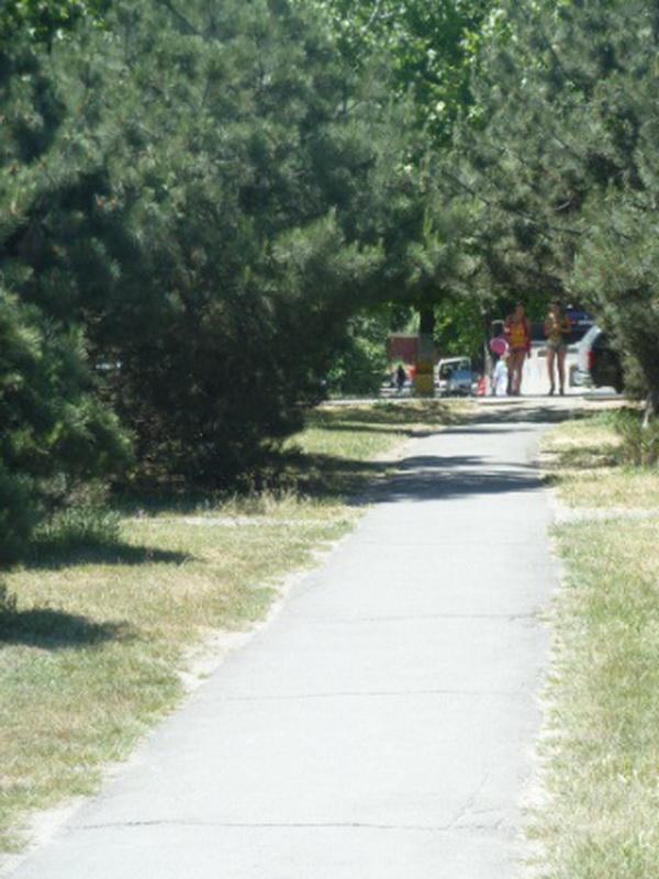 Фото квартиры 10