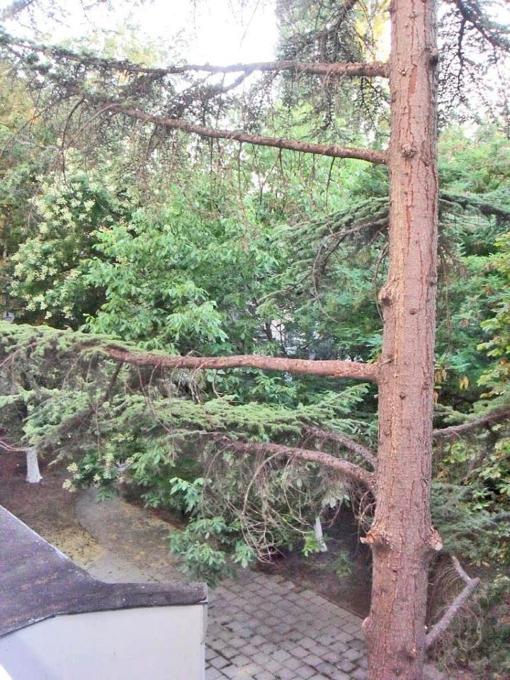 Фото квартиры 11