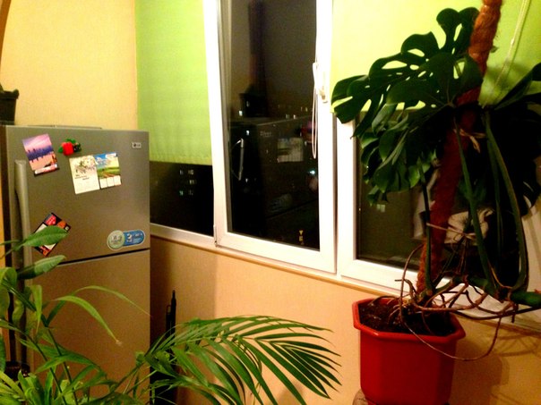 Фото квартиры 5