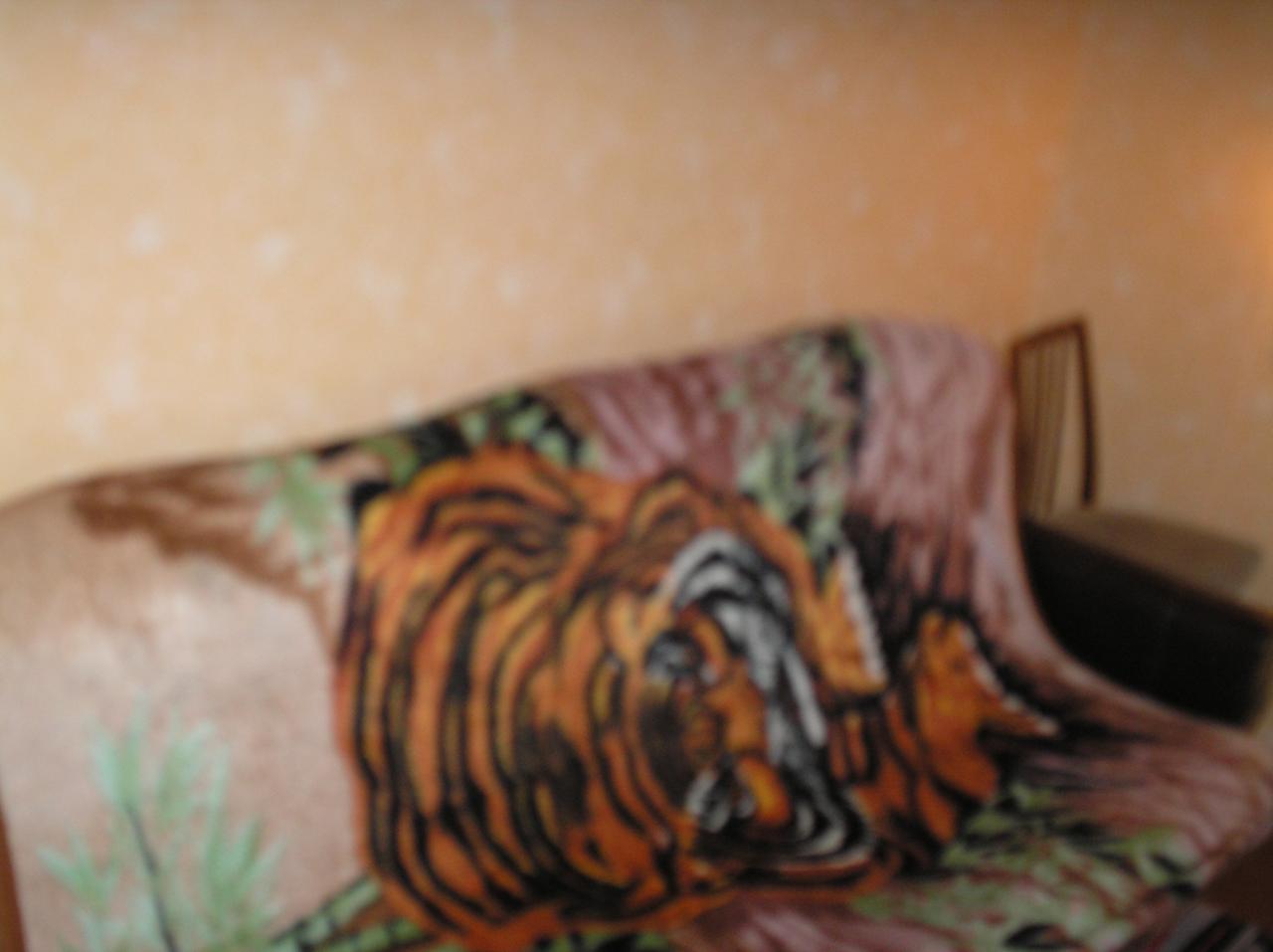 Фото квартиры 2