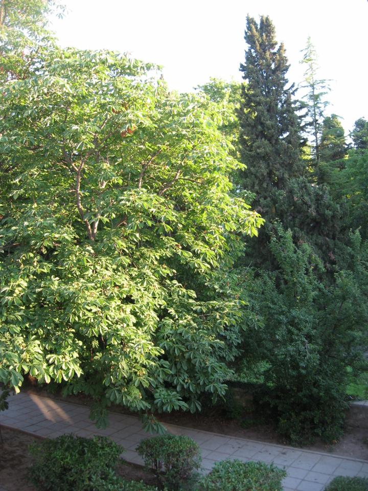 Фото квартиры 7