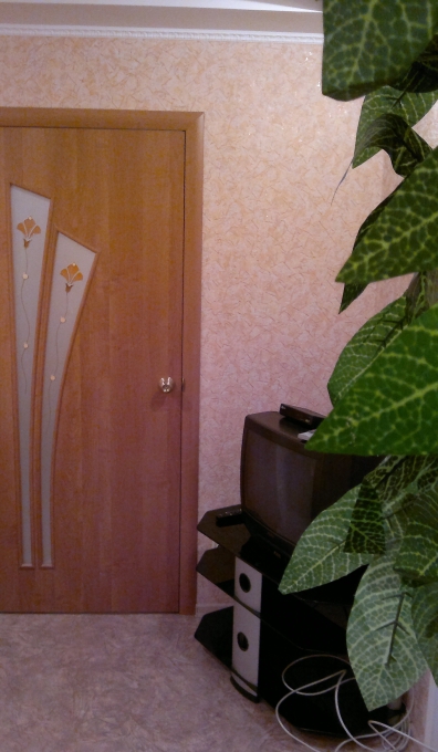 Фото квартиры 4