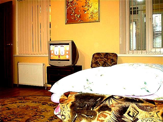 Фото квартиры 13