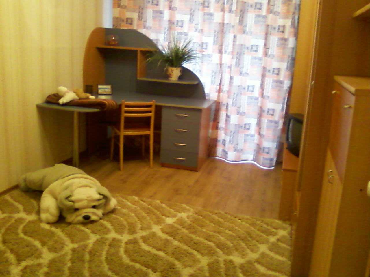 Фото квартиры 3