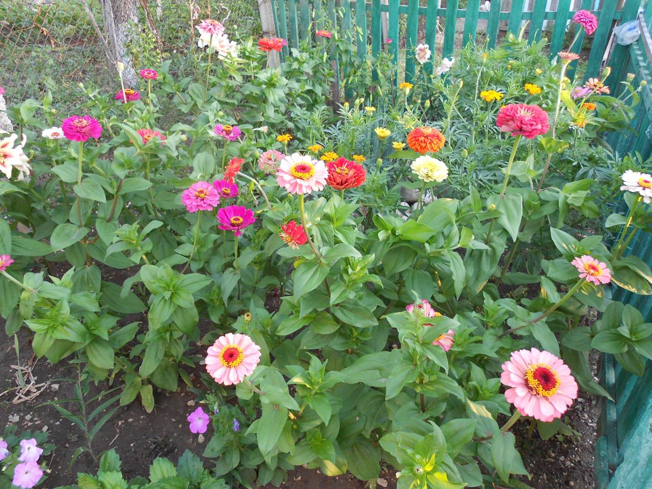 Фото квартиры 9