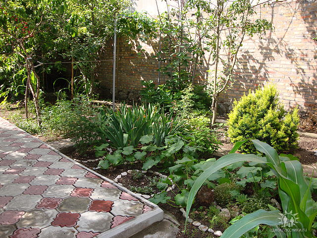 Фото квартиры 5