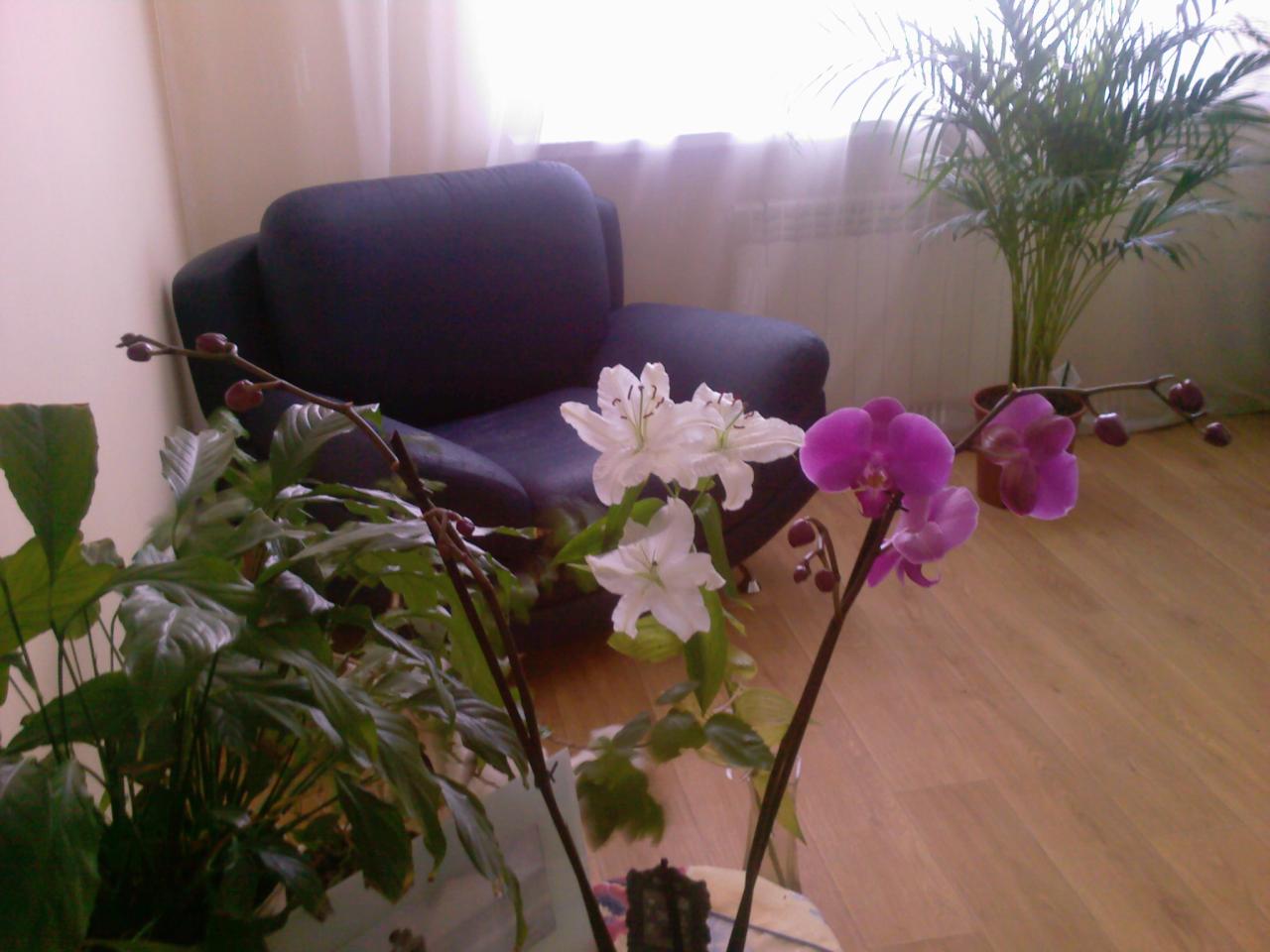 Фото квартиры 2