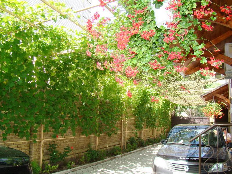 Фото квартиры 9