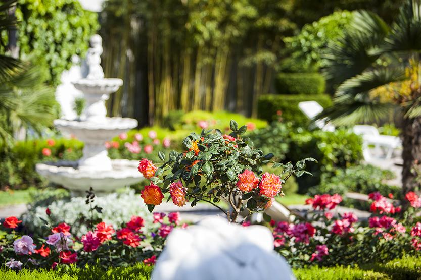 Фото квартиры 3