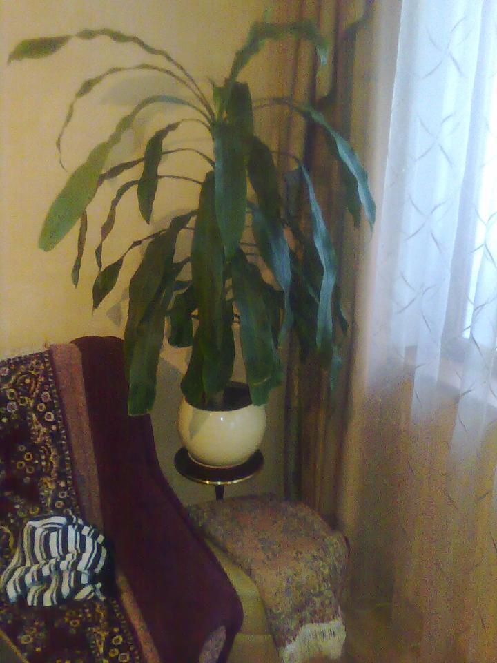 Фото квартиры 12