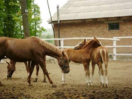 Фото квартиры 7