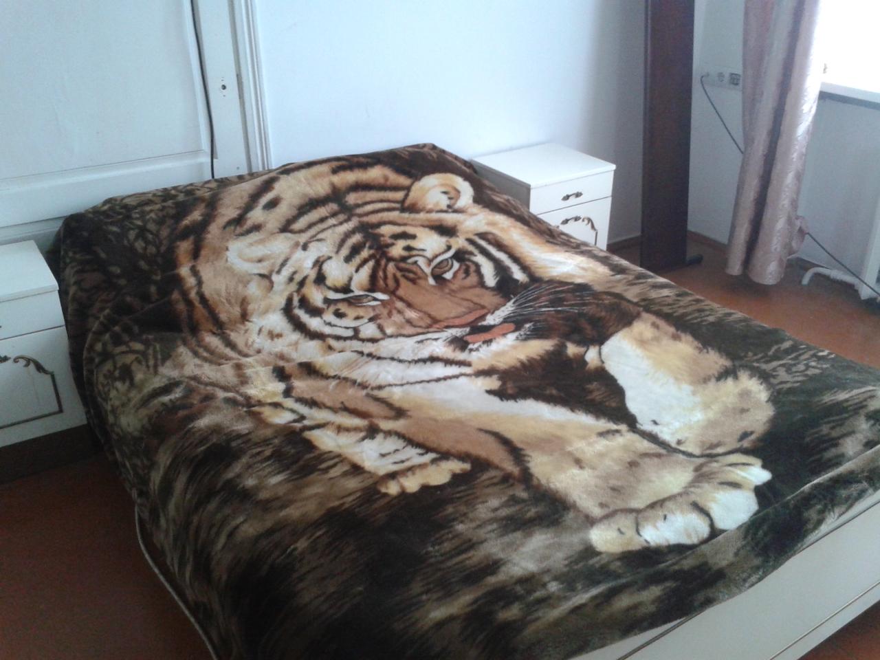 Фото квартиры 1