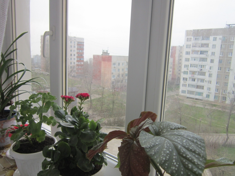 Фото квартиры 3