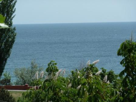 Фото квартиры 5