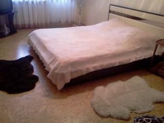 Фото квартиры 1