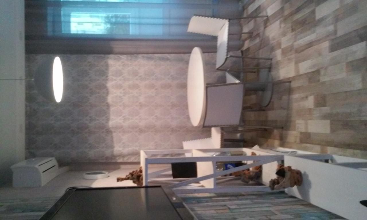 Фото квартиры 7