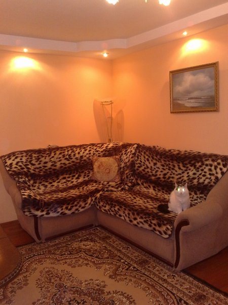 Фото квартиры 1