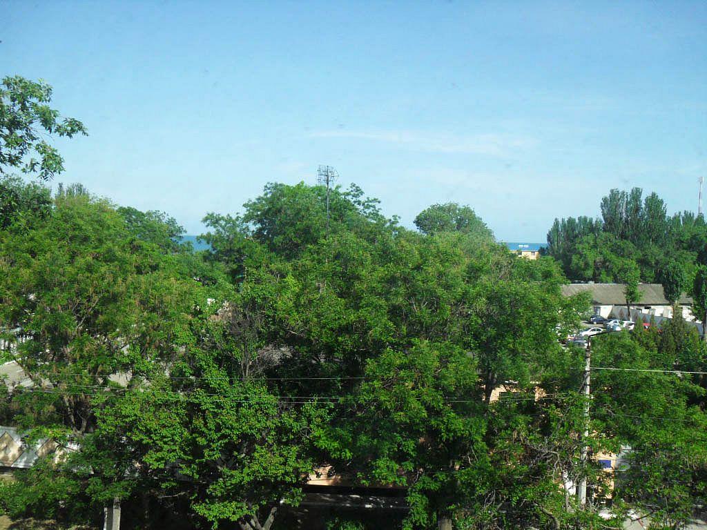 Фото квартиры 9