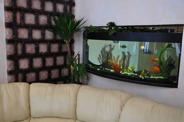 Фото квартиры 5