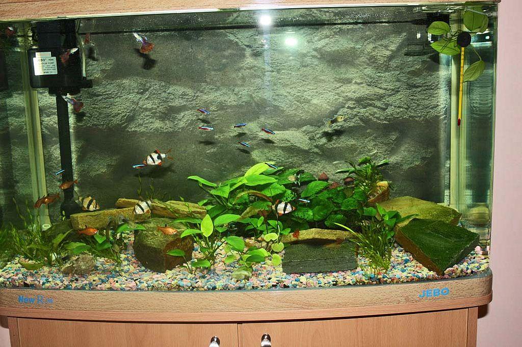 Фото квартиры 6