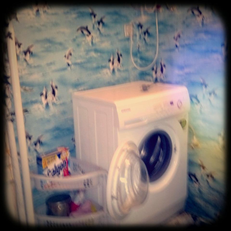 Фото квартиры 4