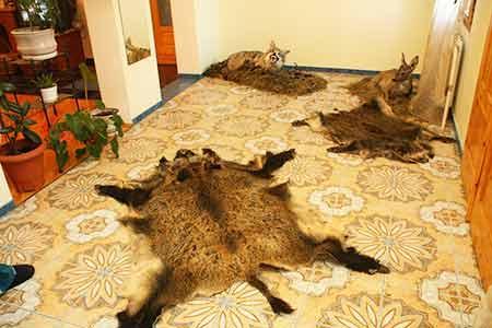 Фото квартиры 6