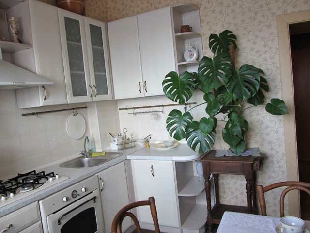 Фото квартиры 4