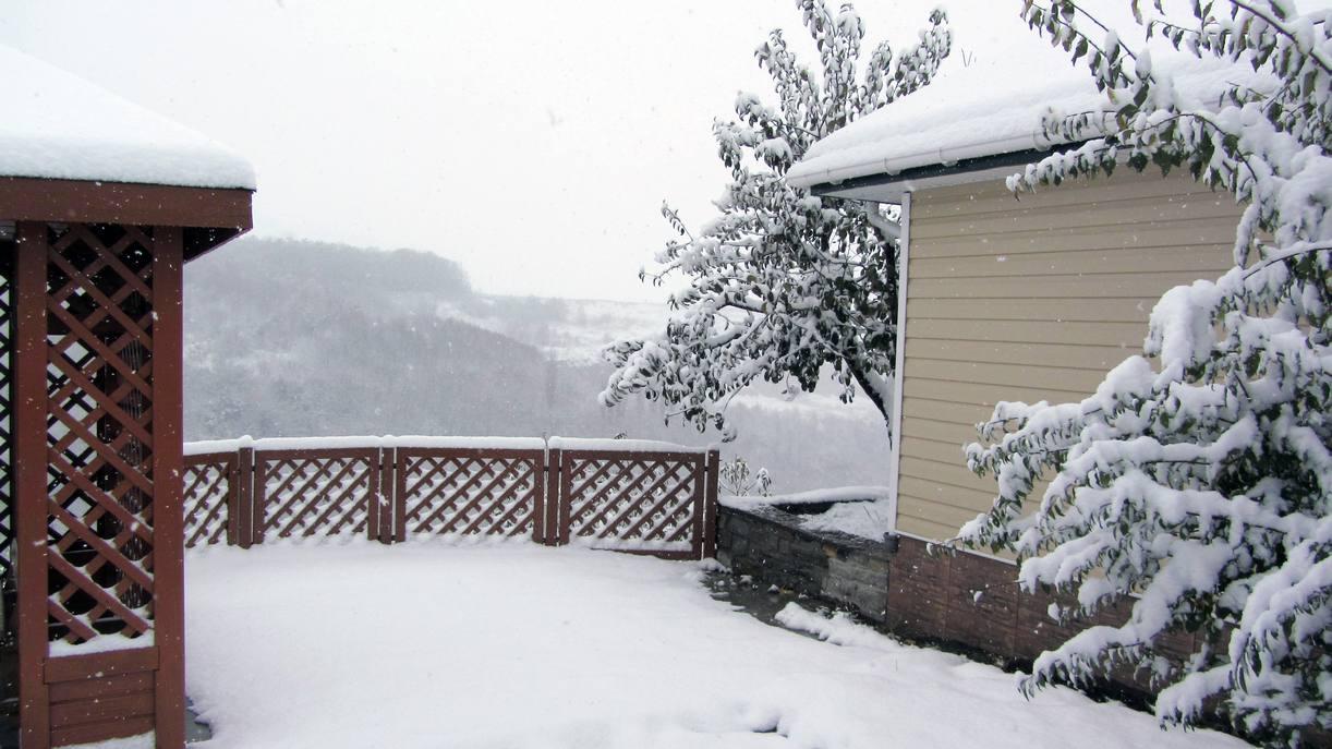 Фото квартиры 11